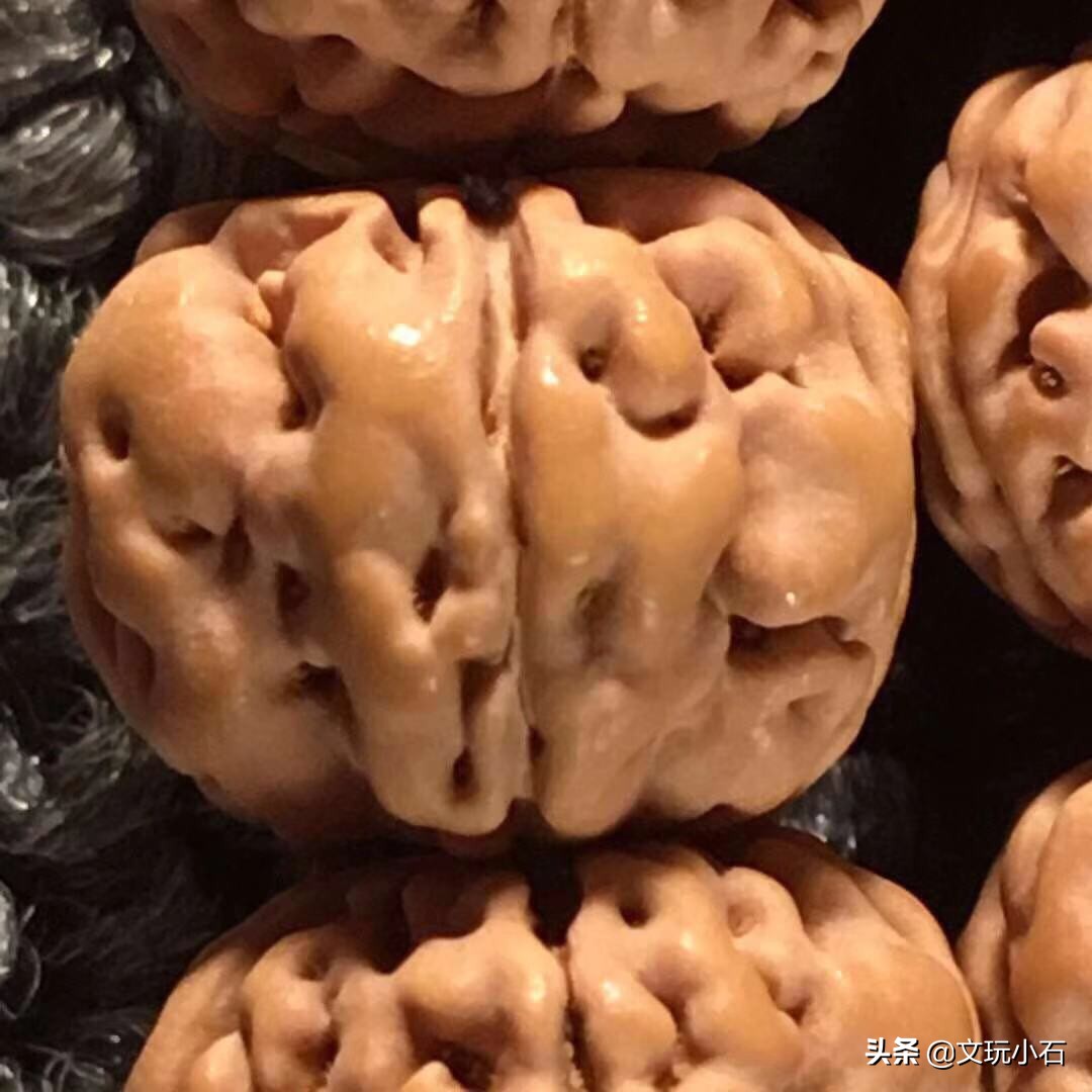 金刚菩提入门知识，新手必备，掌握了三言两语就能让别人刮目！