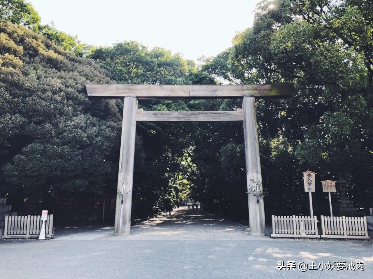 日本攻略自由行大阪,日本自由行攻略名古屋