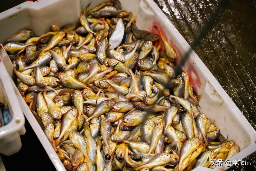 广州最大的海鲜水产批发市场,南京最大的水产批发市场在哪里