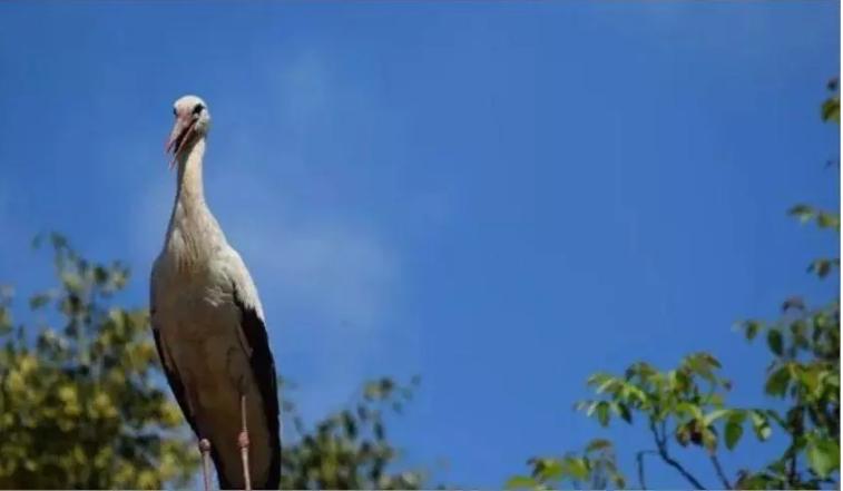 18年感人的爱情故事视频,18年的爱情故事