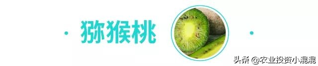 猕猴桃中国最好吃的品种,中国猕猴桃什么品种最好吃