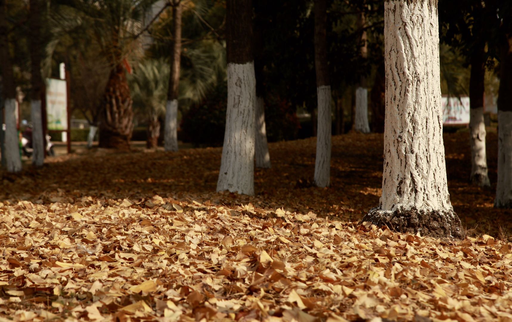 海安各个镇gdp,海安gdp为什么那么厉害