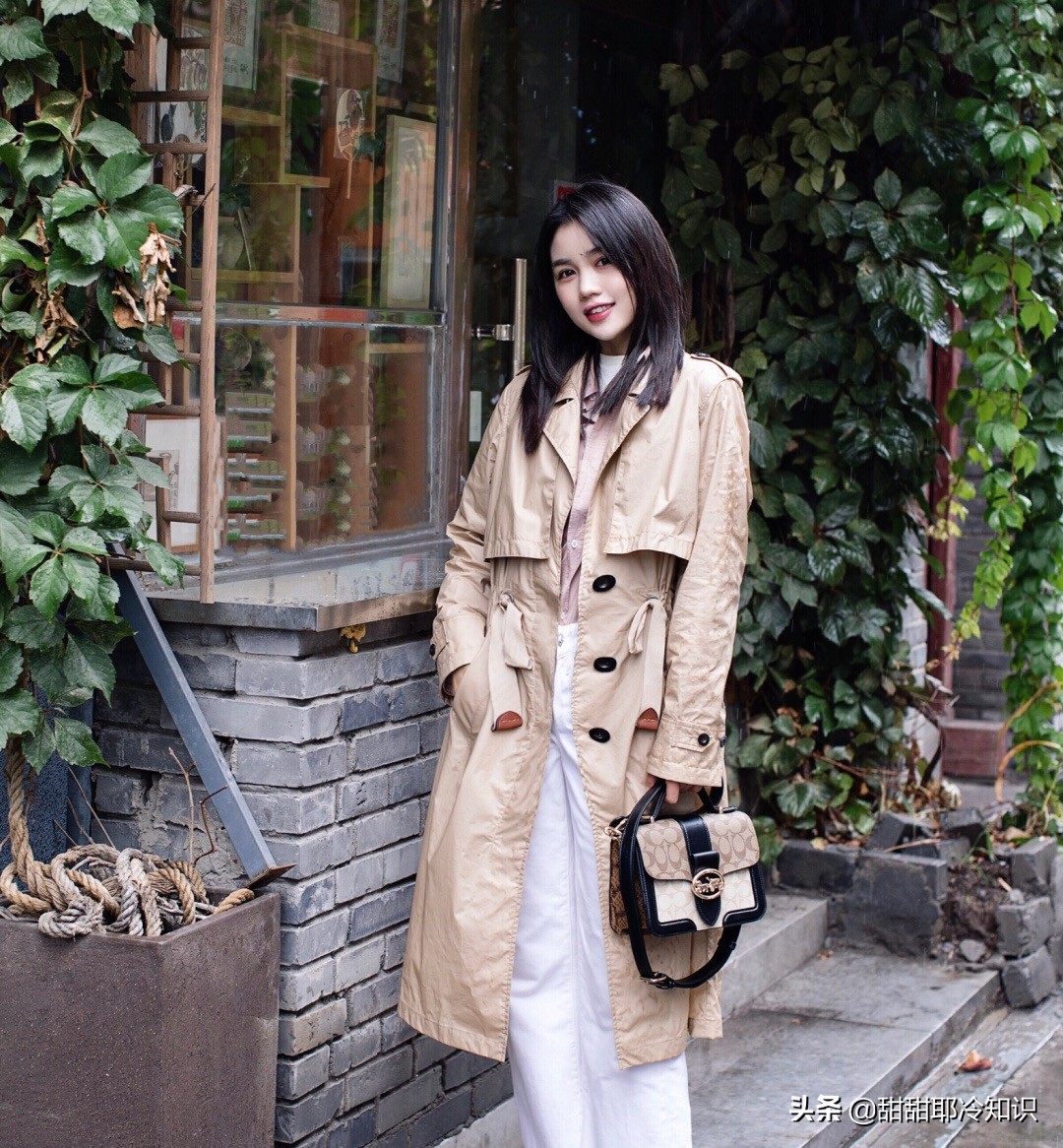 coach蔻驰风琴包黑色立体草莓,coach蔻驰新款马车图案包斜包