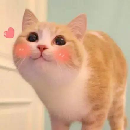 秋冬好用的水乳合集,秋冬水乳排行榜10强国货