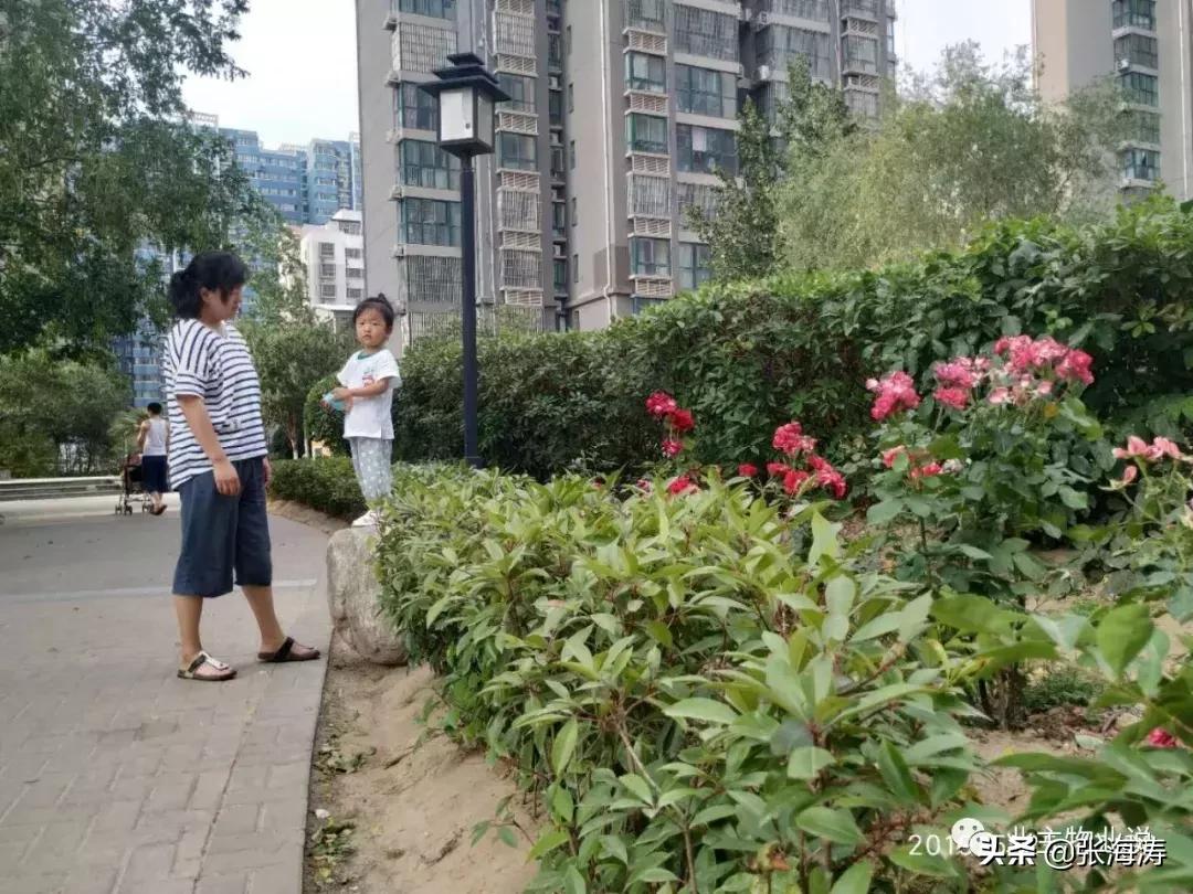 物业服务零投诉,福泽门物业现状