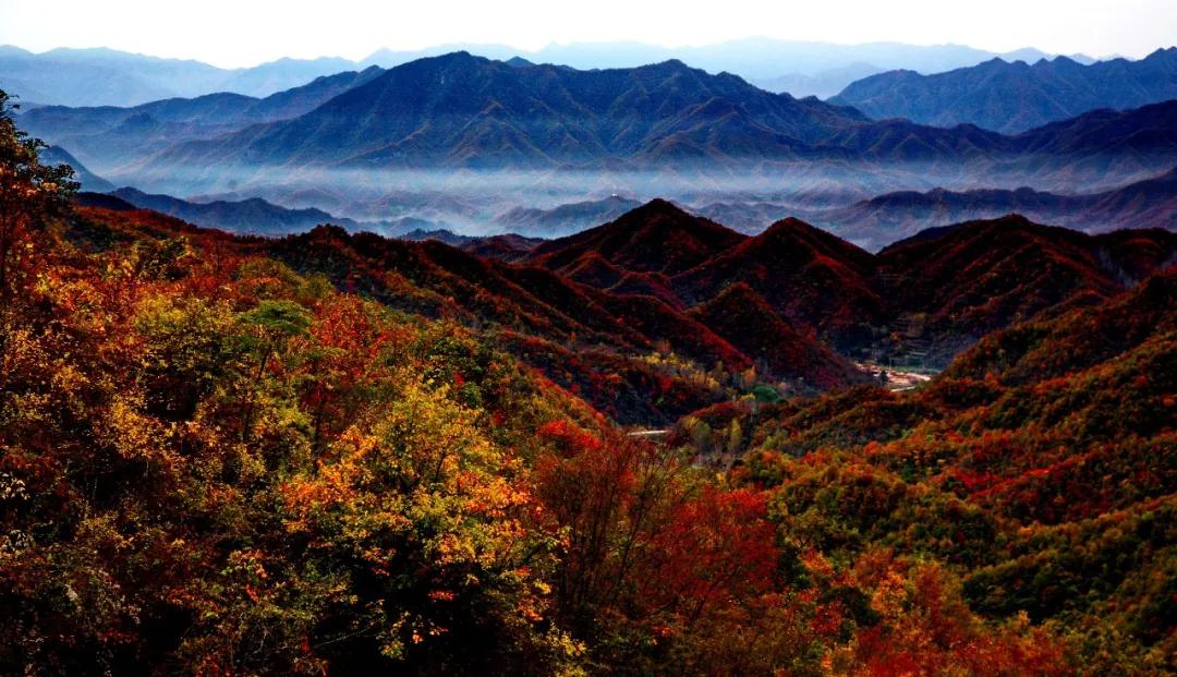 全国林草生物多样性保护成就展,林业生物多样性保护