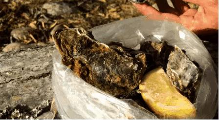 新西兰美食100种,哪里有新西兰水果