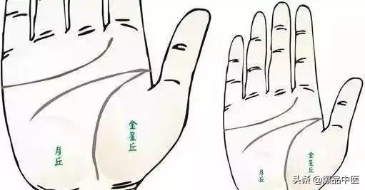 手诊图大全清晰图手背,全息手诊图