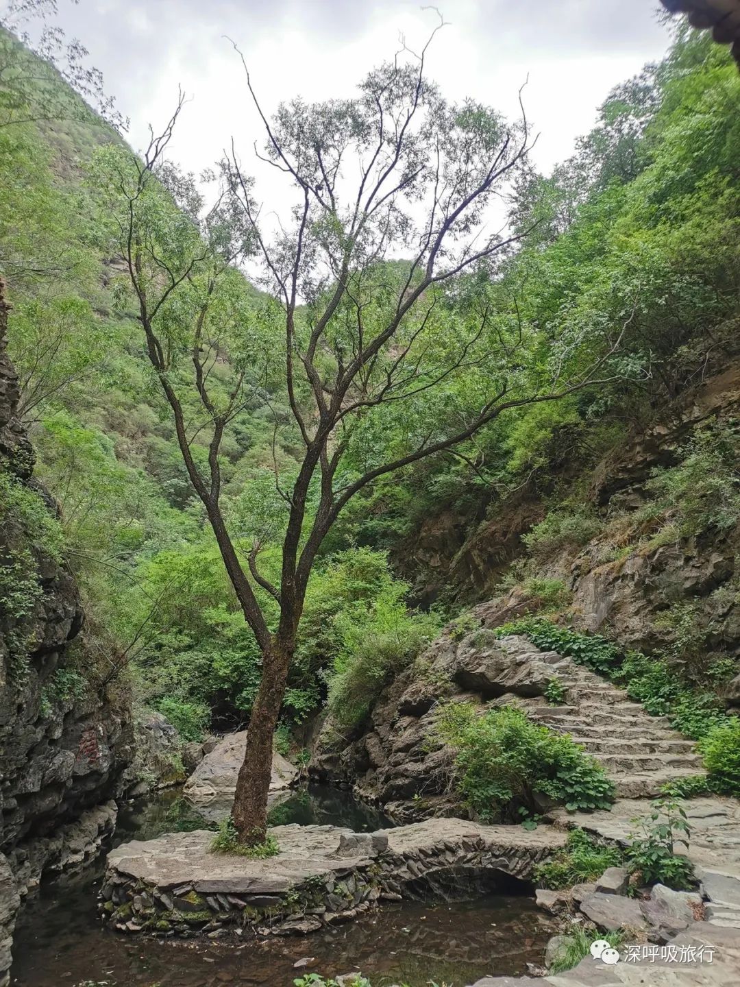 靖西双龙峡网红小火车,京西小九寨二日游