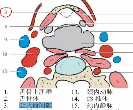 喉部病变做核磁还是ct,耳鼻喉科常见病影像诊断