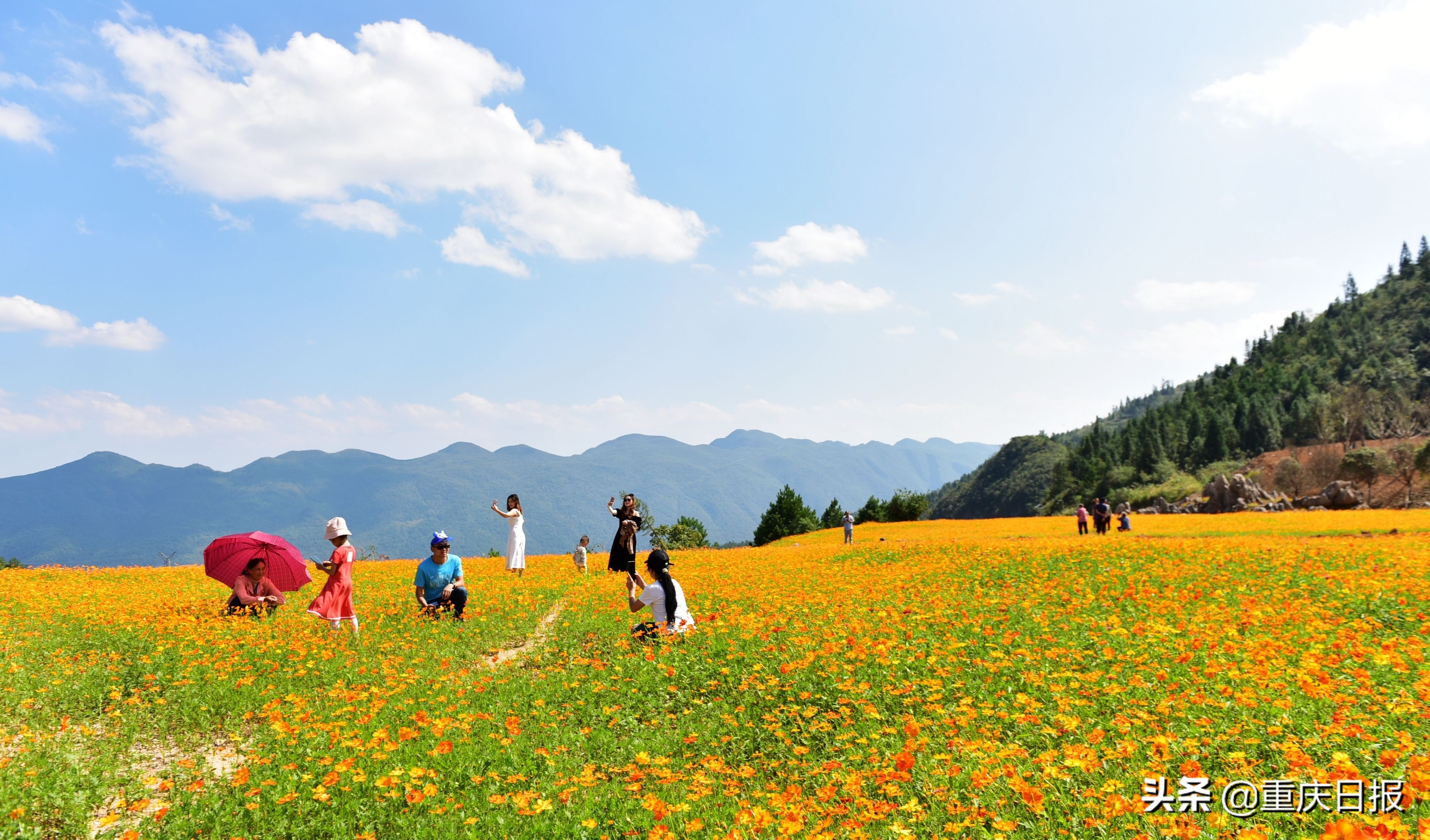 吕梁文旅特色活动欢度国庆,文旅盛宴饱眼福欢歌笑语庆国庆