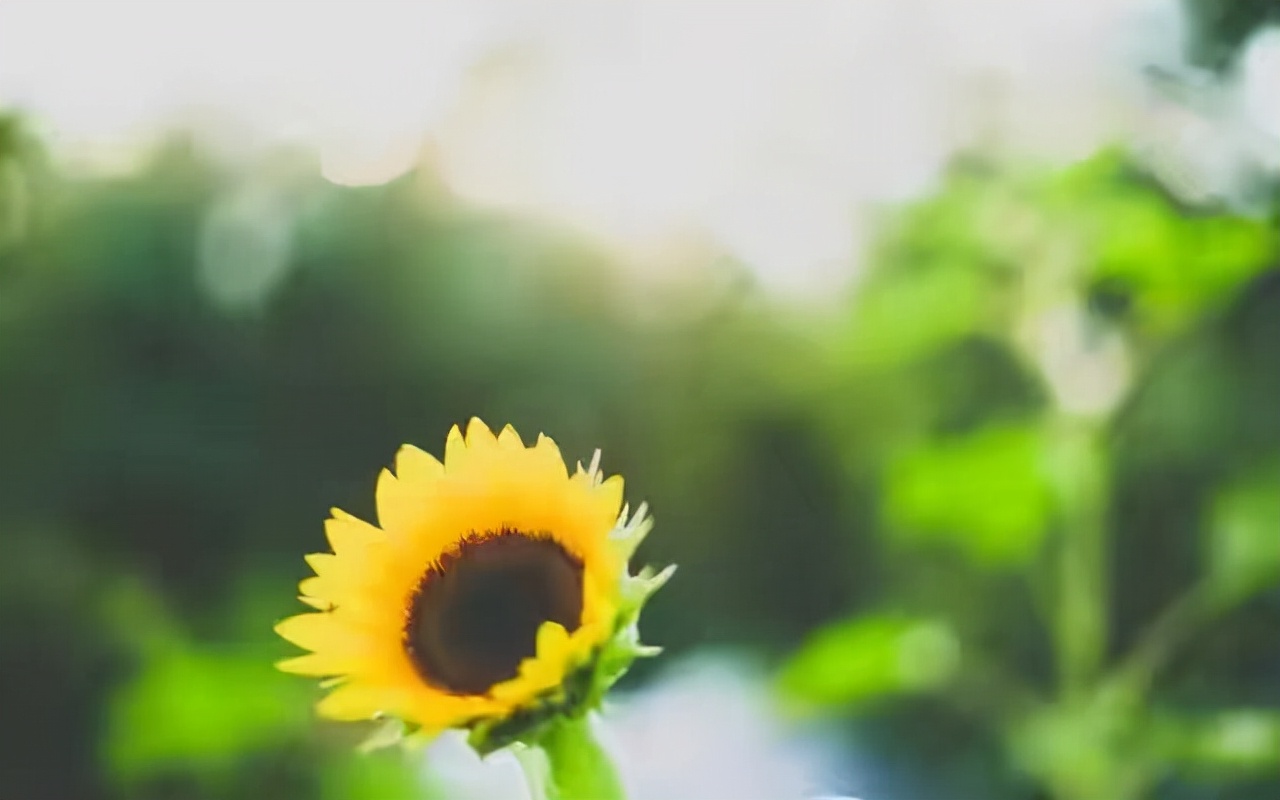 过于自信的时候怎么纠正,谈恋爱总觉得自己患得患失怎么办