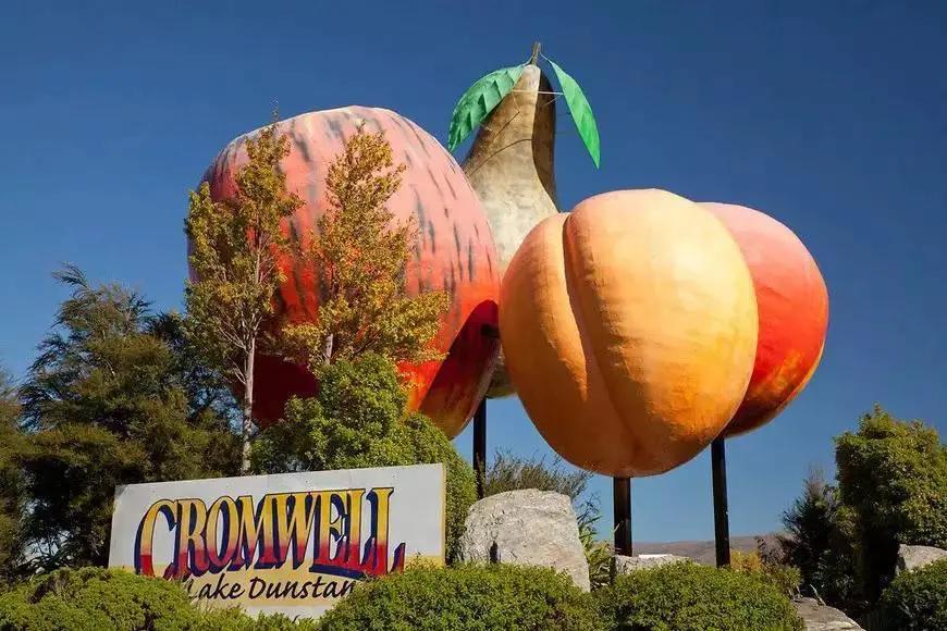 鍗楀矝鏈哄満,鍗楀矝妯辨鑺卞洯