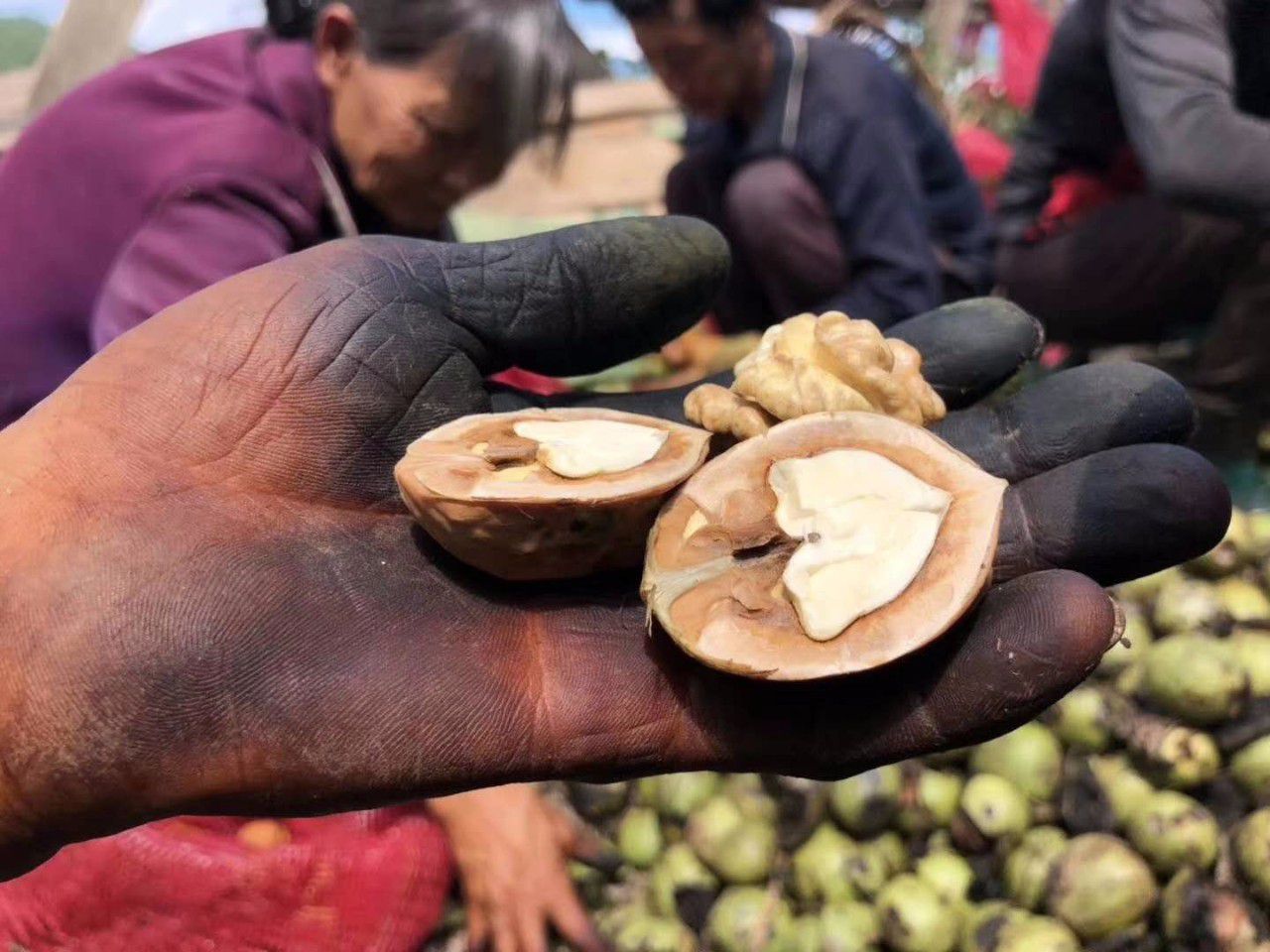 吃个核桃手指被划了,吃个核桃把手弄破了