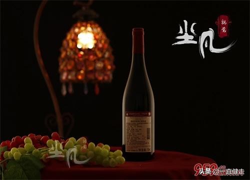 “品尚葡园荟”——欢迎您