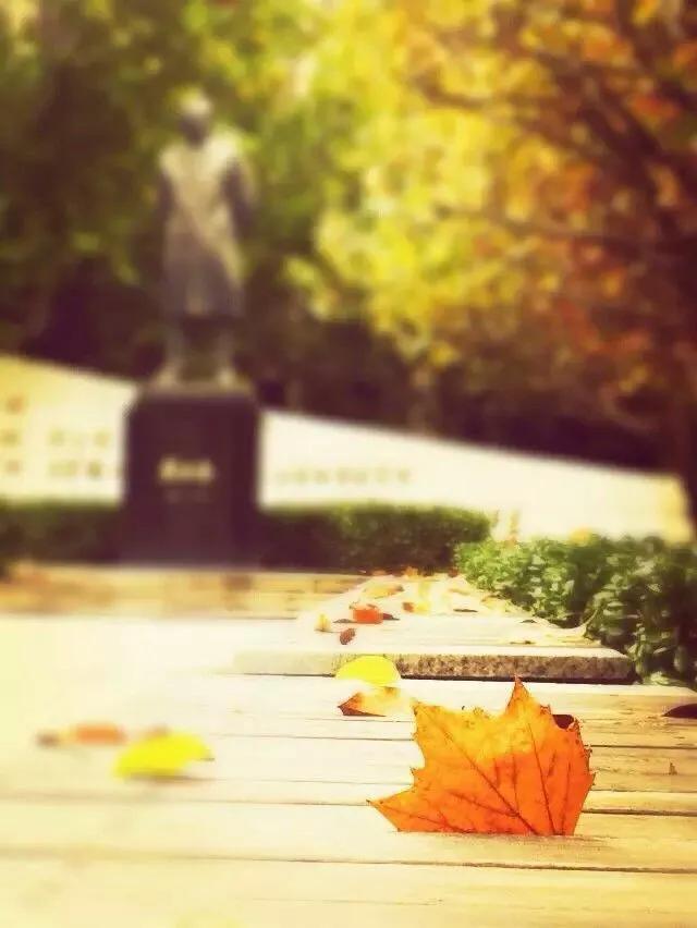 天津红桥高级中学,天津高级中学