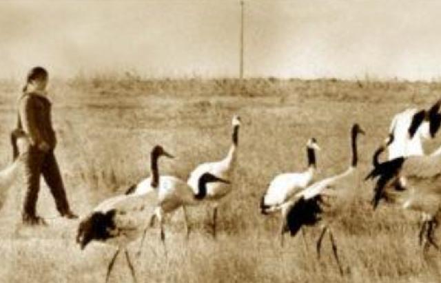 她是第一位在保护战线殉职的烈士，弟弟接班后，43岁时不幸牺牲