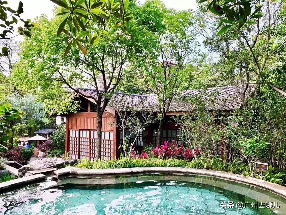 深圳高铁4个小时可到的旅游城市,深圳出发最美的短途高铁