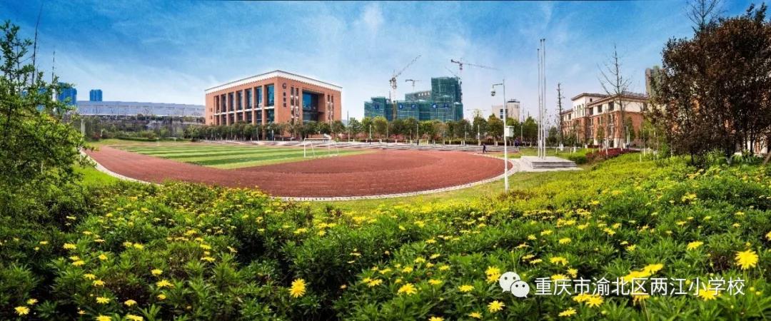 重庆教育集团化办学,教育集团一体化办学