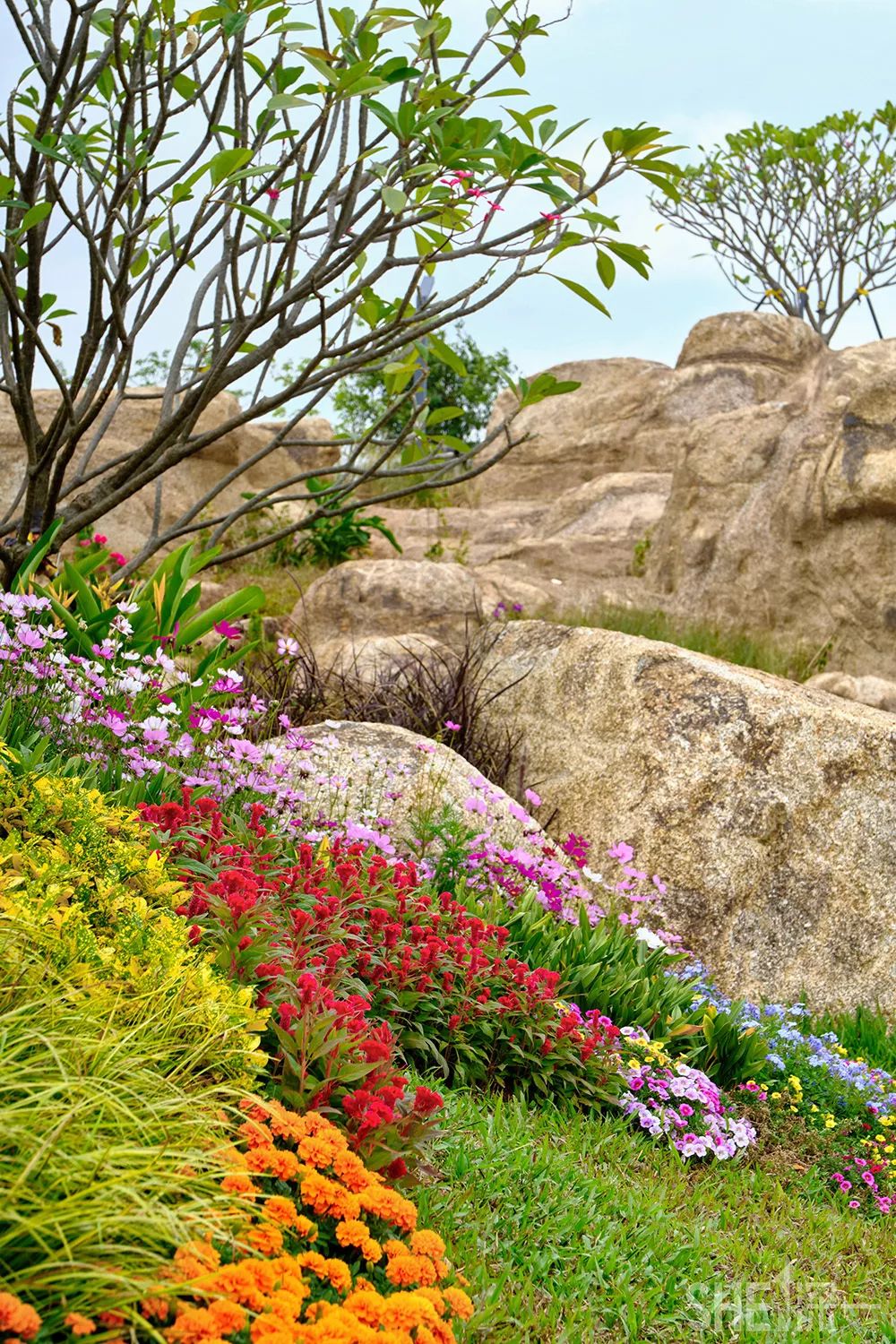 深圳龙华公园对外开放了吗,深圳市龙华新开的公园