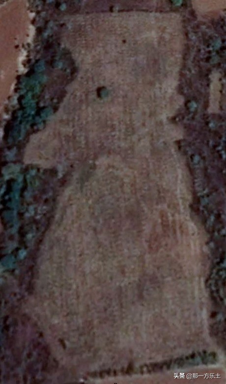 雷大妈榛子园,大榛子园建设