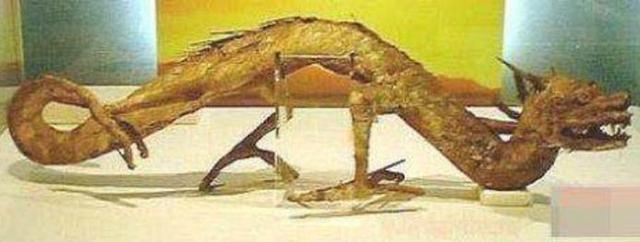 十大未知生物录像,地球十大巨型未知生物