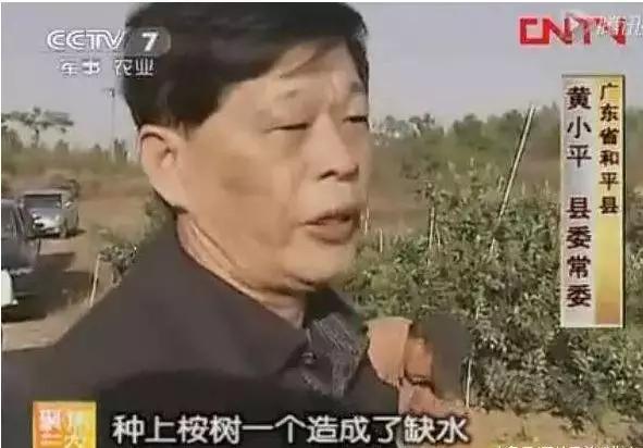 难灭的澳洲山火：桉树“点火”，猛禽“助燃”