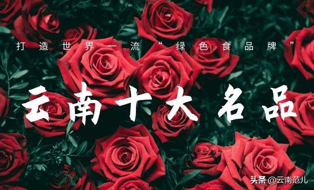 云南品质，无可挑剔！2019年云南省“10大名品”名单（完整版）