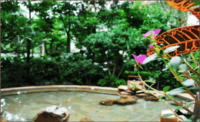 厦门养生知识大全,厦门冬季养生知识大全