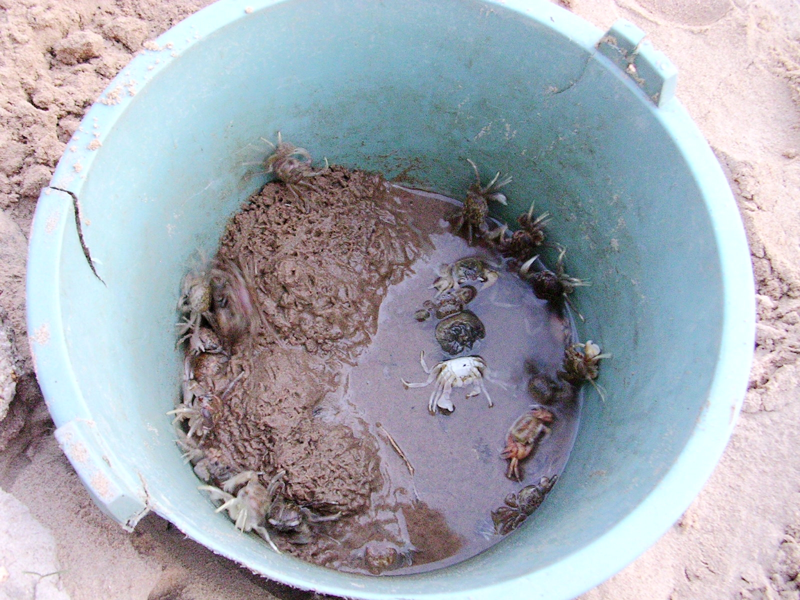 纪念失去后的重生,纪念失去的一切