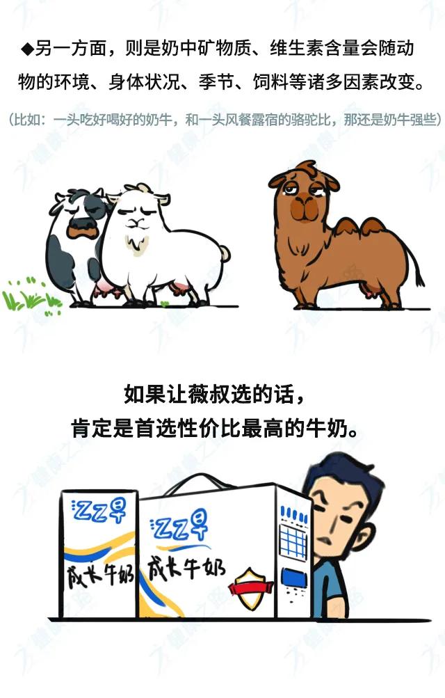 骆驼奶有什么功效,骆驼奶真的有效果吗