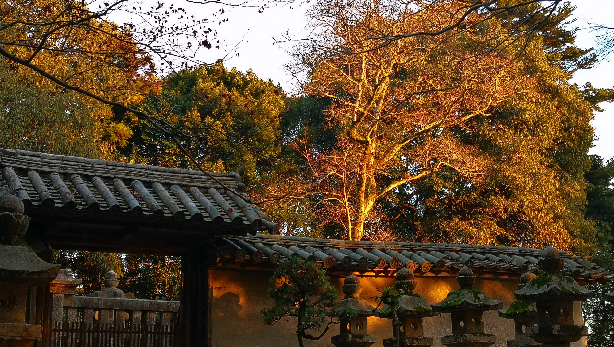 书写山圆教寺景点,书写山圆教寺攻略