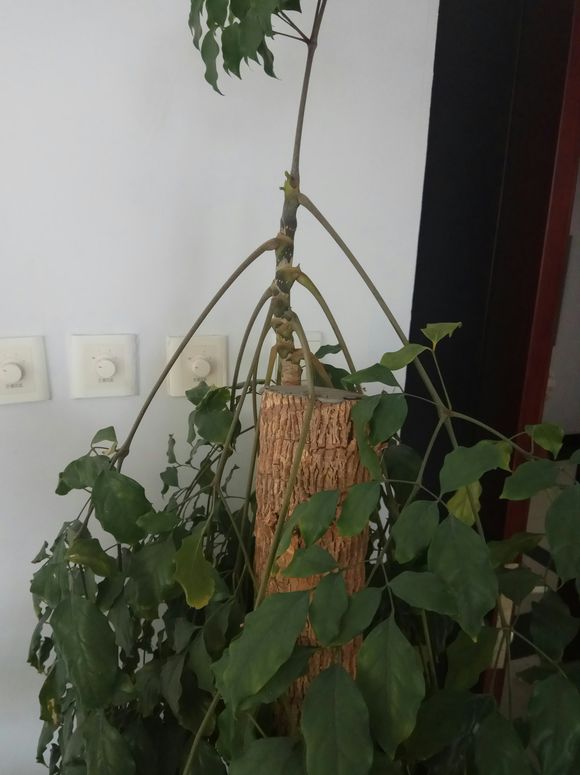 抓一把沙子,抓一把沙子让它飞起来