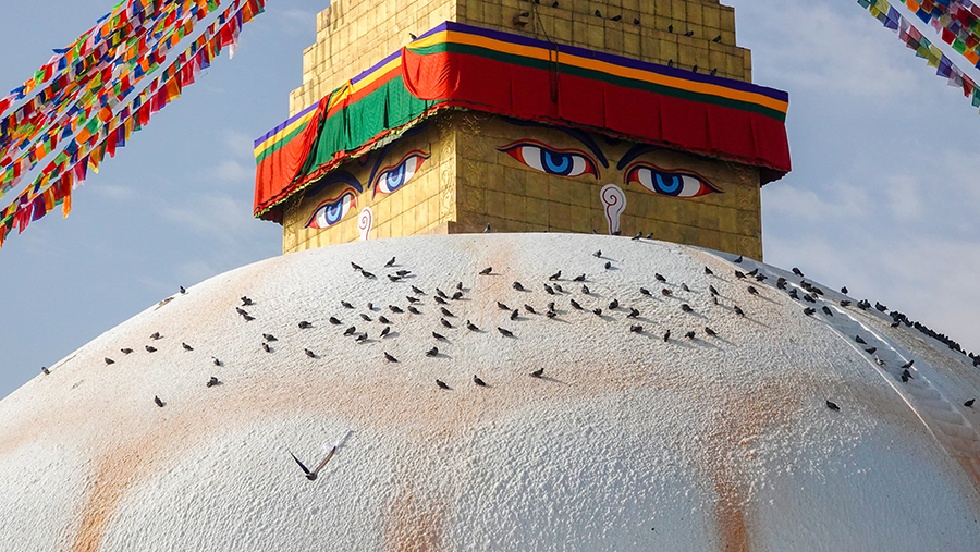 尼泊尔十堰,尼泊尔为什么这么穷