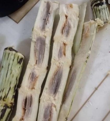 黑心甘蔗的危害,黑心甘蔗有毒吗
