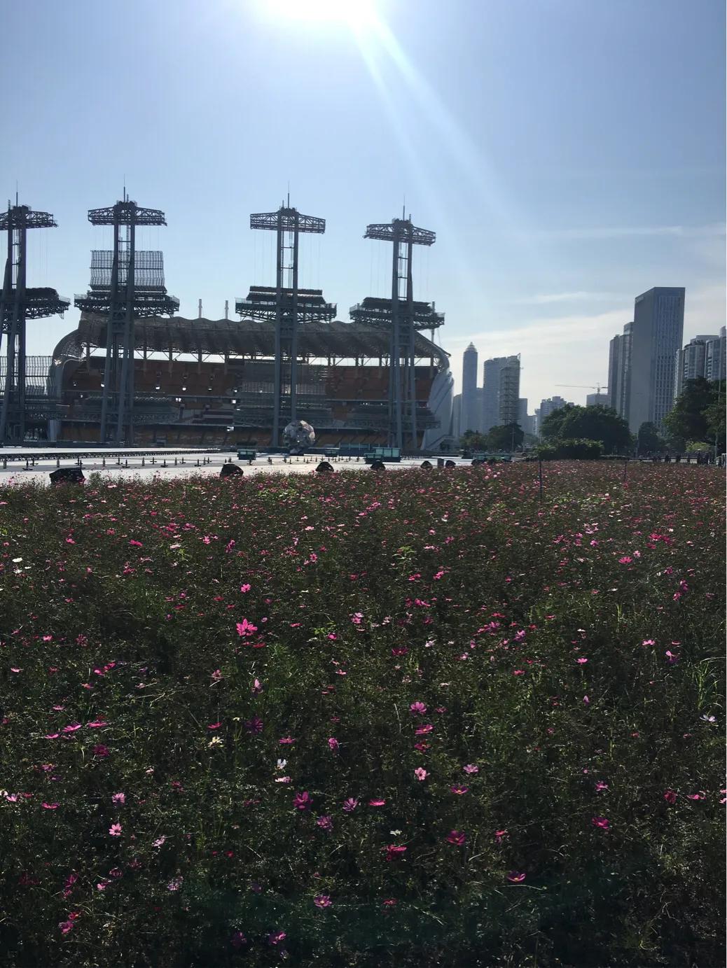 广州花城广场海心沙公园,广州花城广场海心沙公园白天