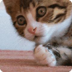 日本女人什么职业不能租房子,日本东京租房子