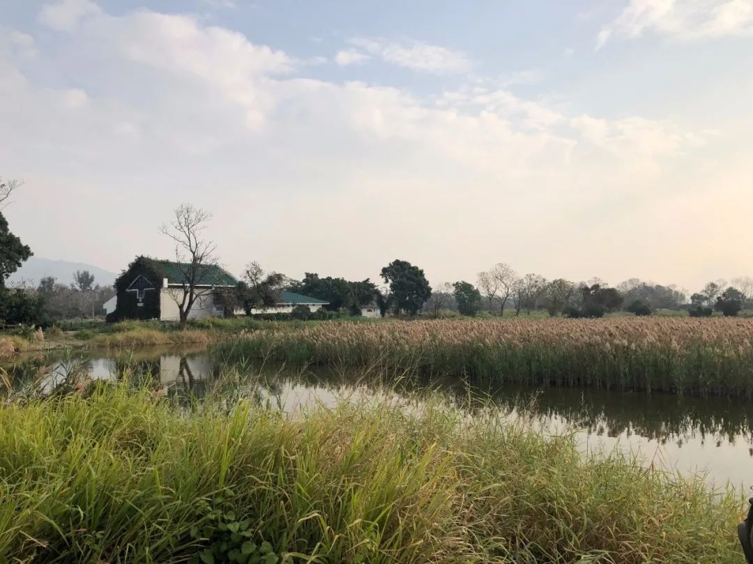 香港西贡禁区,香港西贡区禁区
