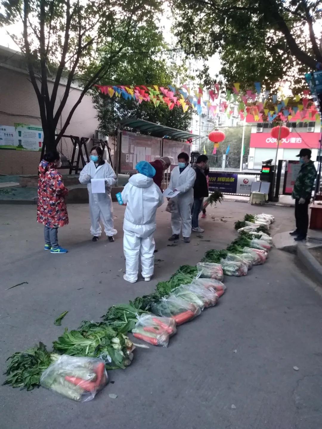 收到政府发放的爱心菜,政府领的爱心菜