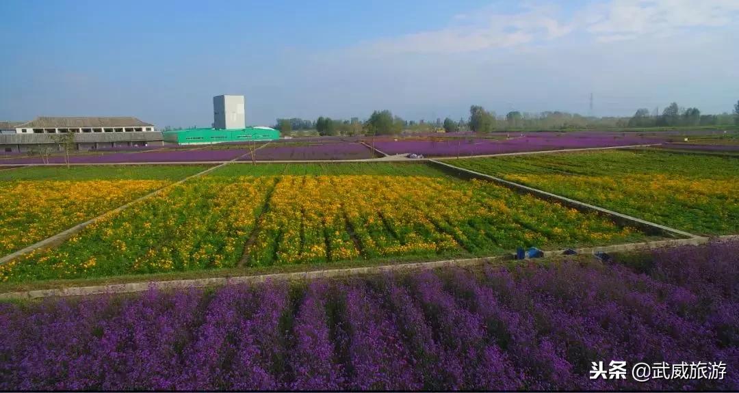 武威着力打造全域旅游,武威文化旅游综合体