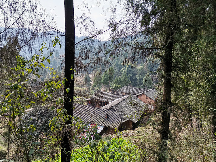 听见延期开学反应,听到延迟开学的消息的心情