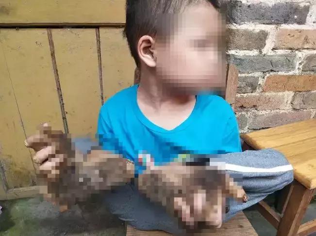 求救|广西男童头上长“角”，手掌脚掌长“鳞片”，割了又长