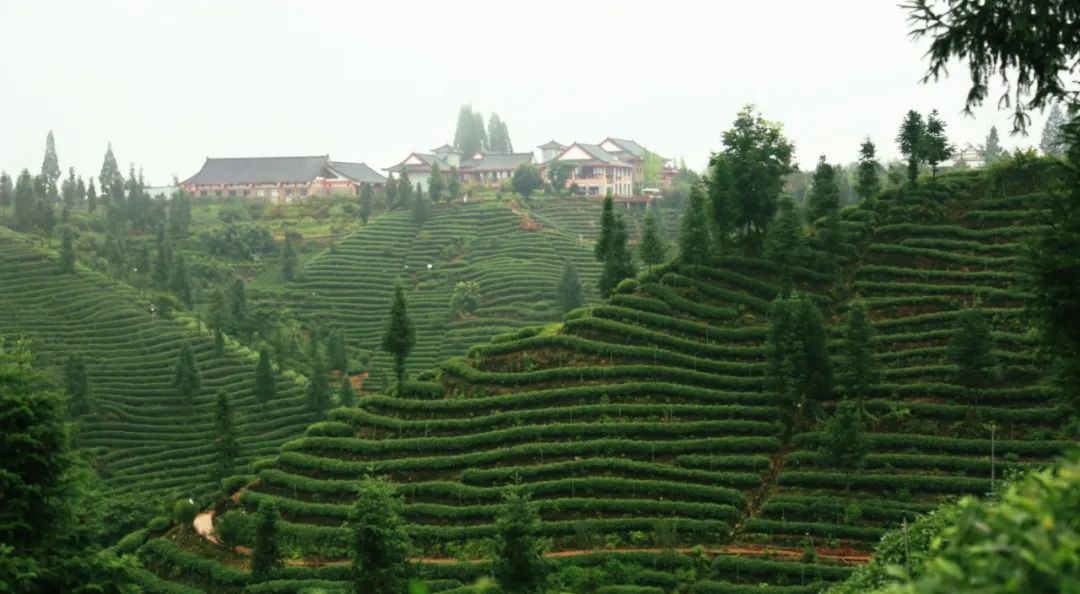 四川绝美风景酒店,四川旅游十大必去酒店推荐
