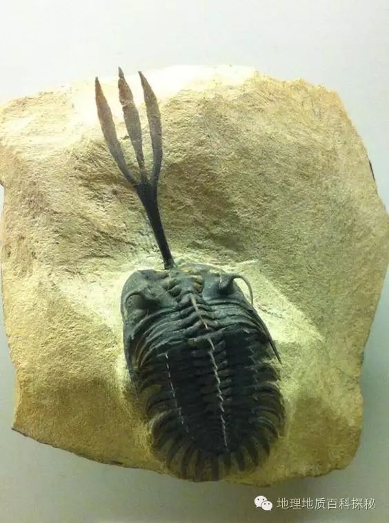 鬼斧神工地质遗珍视频,鬼斧神工的地质