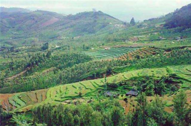 贩卖毒品的金三角在中国哪个地区,毒品