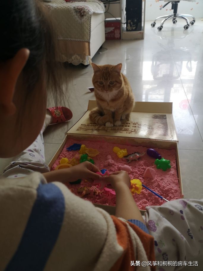 在头条一个月赚5000块能实现吗,普通人如何在头条赚收入