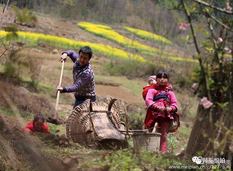 洛阳晚报作品,洛阳晚报2020年