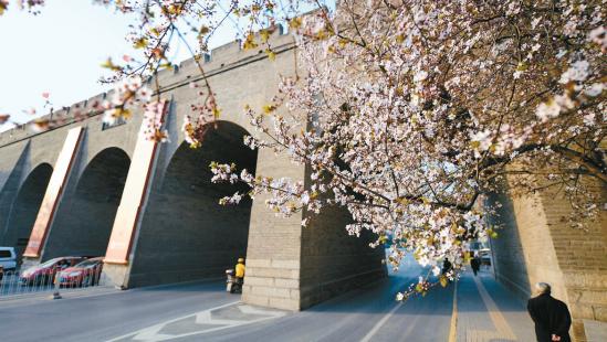 有一种春天叫西安的春天,西安古都的春天在哪里