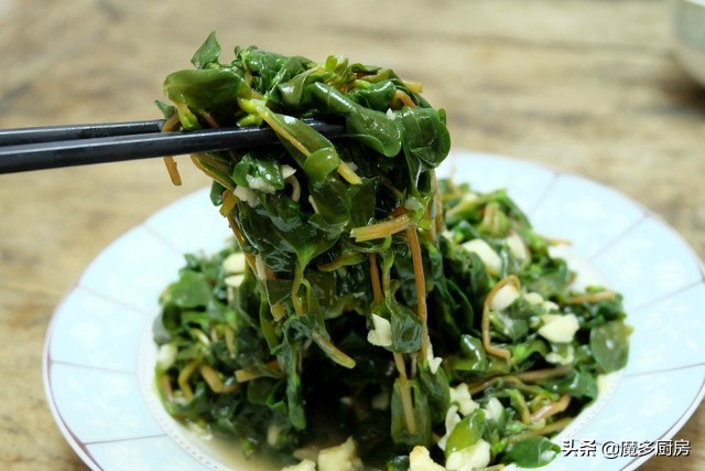 农村菜地里一种野菜酸酸甜甜的,农村常见能吃的野草和做法