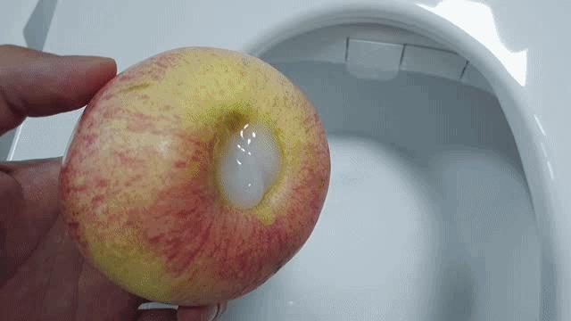 测评十大实用家用电器,家用好物小电器测评